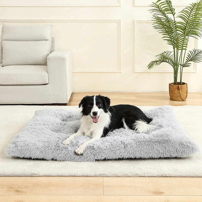 Woolpaw© Weiches Plüsch-Hundebett – Komfort und Stil für jeden Winkel deines Zuhauses!