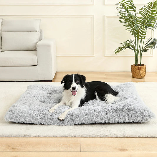 Woolpaw© Weiches Plüsch-Hundebett – Komfort und Stil für jeden Winkel deines Zuhauses!