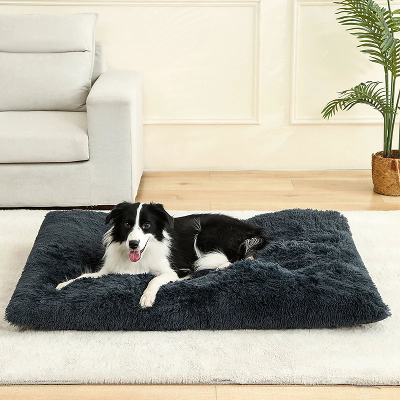 Woolpaw© Weiches Plüsch-Hundebett – Komfort und Stil für jeden Winkel deines Zuhauses!