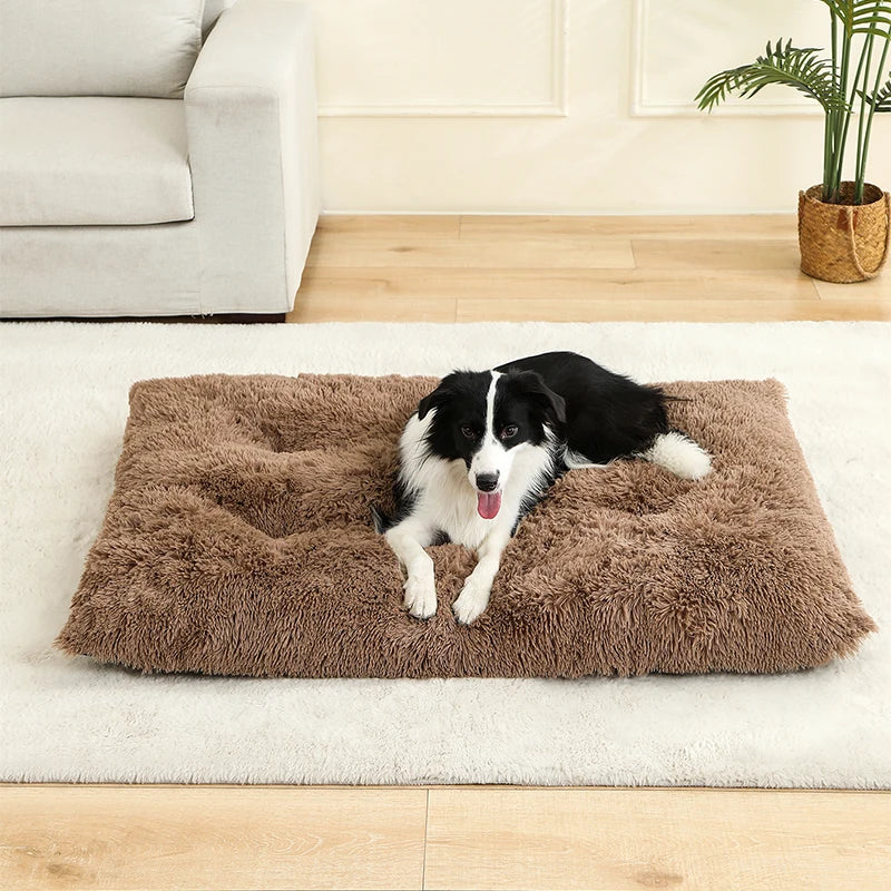Woolpaw© Weiches Plüsch-Hundebett – Komfort und Stil für jeden Winkel deines Zuhauses!