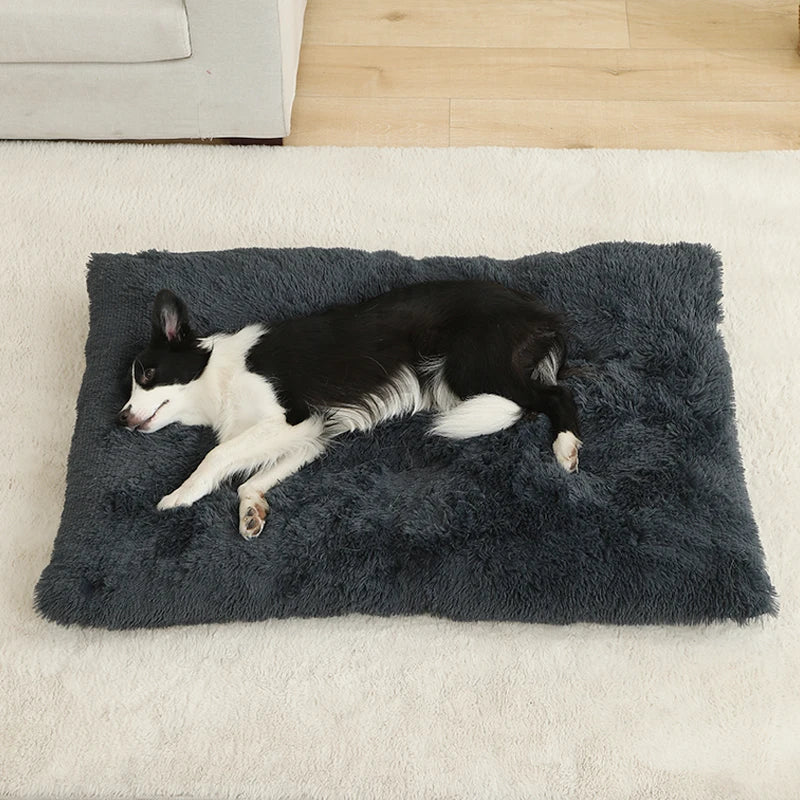 Woolpaw© Weiches Plüsch-Hundebett – Komfort und Stil für jeden Winkel deines Zuhauses!